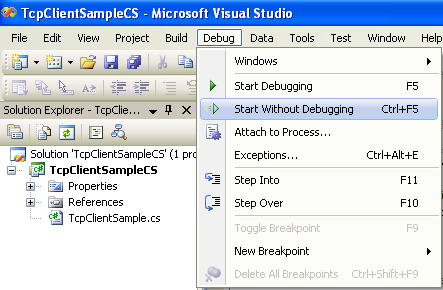 C# TCP Client Program Example - running the project