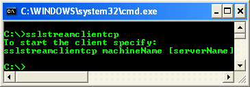 C++ SSLStream Client Example - output example