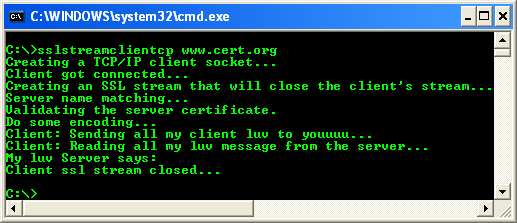 C++ SSLStream Client Example - output sample against the https server
