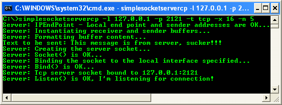 C++ Simple Client Socket Program Example - a sample output with TCP protocol of the server program ready for connection