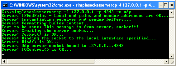 C++ Simple Client Socket Program Example - a sample output of the UDP server, ready for connection