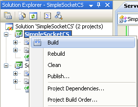 C# Simple Server Socket Program Example - building the server project independently