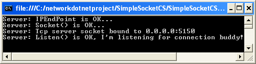 C# Simple Server Socket Program Example - a sample of server output