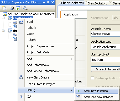 VB .NET Simple Client Server Socket Program Example - running the client project independently