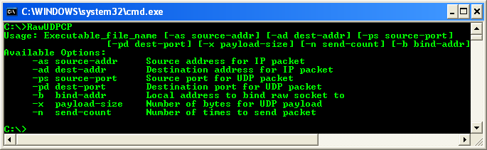 C++ Raw UDP Socket Program Example - a sample output