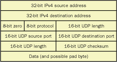 The IPv4/UDP pseudoheader checksum fields