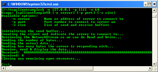 VB .NET TCP Client Program Example - running the TCP client, connecting to the TCP listener
