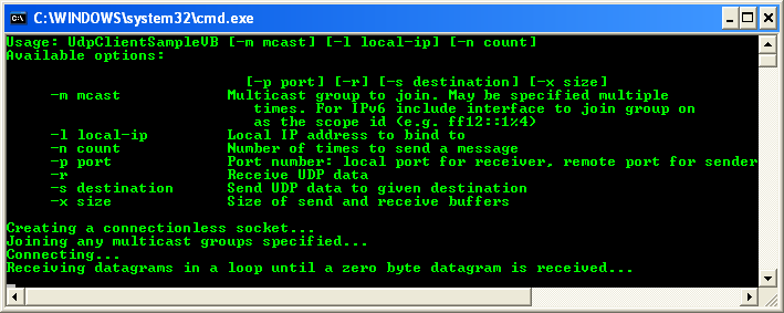 VB .NET UDP Client and Server Program Example - a sample output in action