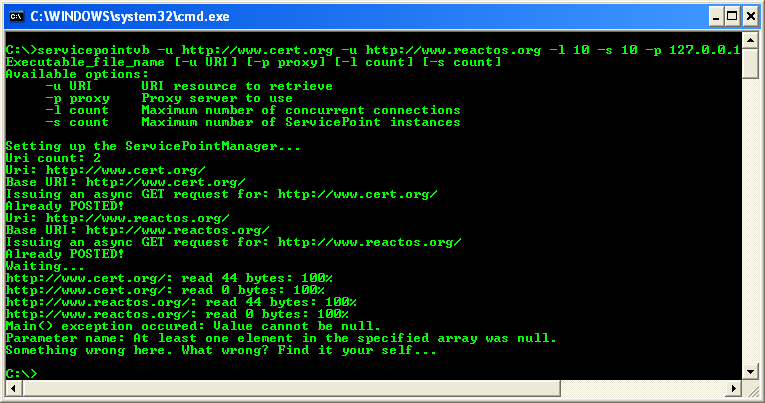 VB .NET Service Point Program Example - a sample output in action with argument values supplied
