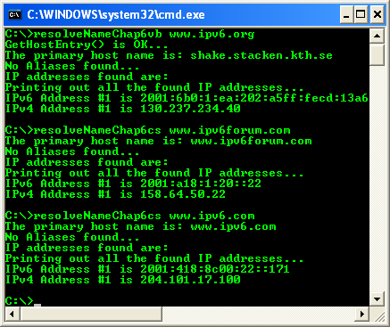 VB .NET Name Resolution Program Example - a sample output with IPv6 protocol
