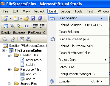 Building the C++/CLI project