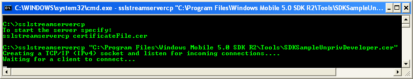 C++ SSLStream Server Example - output sample in action
