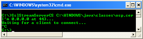C# SSLStream Server Example - output sample in action