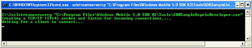 C++ SSLStream Client Example - output sample in action