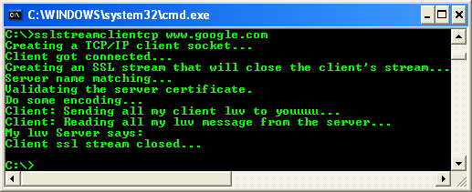 C++ SSLStream Client Example - output sample against the https server validation