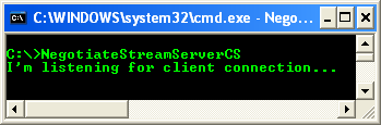 C# NegotiateStream Server Example - output example