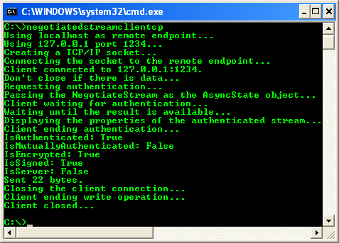 C++ NegotiateStream Client Example - running a client program