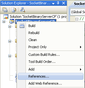 C++ Binary Server Socket program example - adding reference to a DLL
