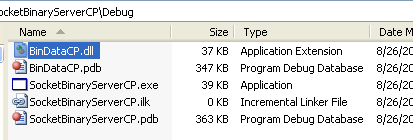 C++ Binary Server Socket program example - the DLL file has been imported into project folder