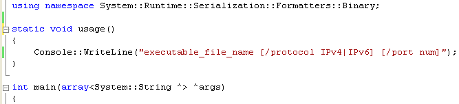 C++ Binary Server Socket program example - adding usage() function