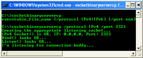 C++ Binary Server Socket program example - running the server program with IPv4 arguments, waiting for connections