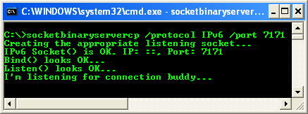 C++ Binary Server Socket program example - running the server program with IPv6 arguments, waiting for connections