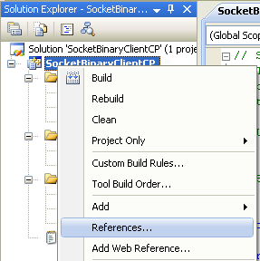C++ Binary Socket Client Program Example - adding a reference to DLL file