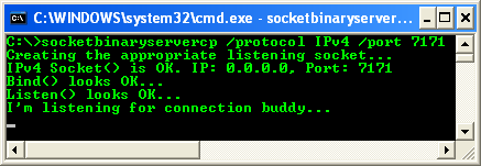C++ Binary Socket Client Program Example - running the server program and waiting for connection