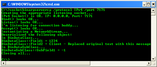 C++ Binary Socket Client Program Example - the server output when the communication was completed