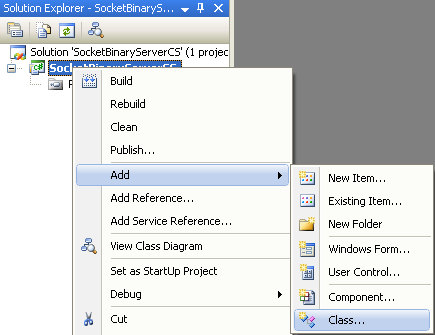 Adding C# Binary Server Socket Program Example - adding a new item into existing project