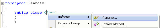 C# Binary Socket Server Program Example - renaming the class through the context menu