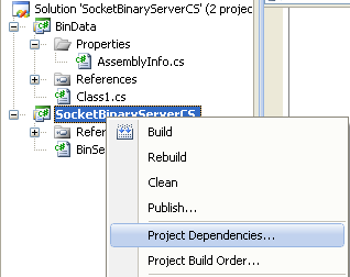 C# Binary Socket Server Program Example - viewing the project dependencies