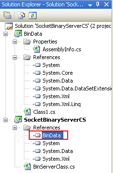 C# Binary Socket Server Program Example - viewing the References in the Solution explorer