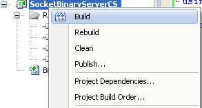 C# Binary Socket Server Program Example - building the project
