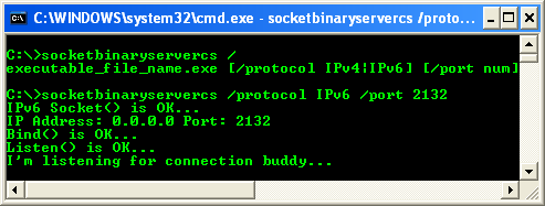 C# Binary Socket Server Program Example - a sample output with arguments in action, waiting for connections
