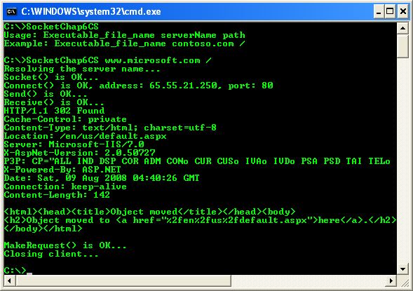 C# Socket Program Example - a sample outputs with and without argument values suplied