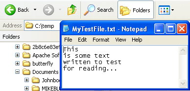 C++ Request and Response Program Example - a sample output, opening the generated text file