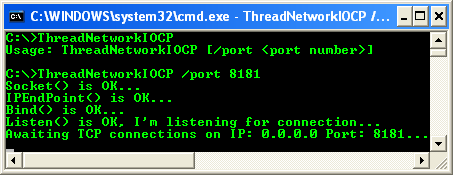 C++ Thread and Network I/O Program Example - a sample output that shows the receiver is waiting for connection