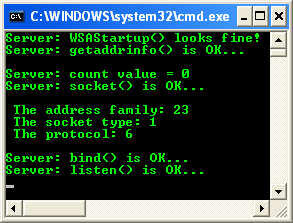 The Windows socket/winsock2 IPv4, IPv6 Internet Protocol programming: the IPv6 and IPv4 program sample output