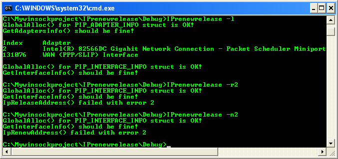 IP Helper Functions: DHCP Renew and Release Program Example sample output with -l option