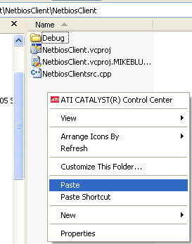 The Netbios Client Program: pasting the header and its definition files.