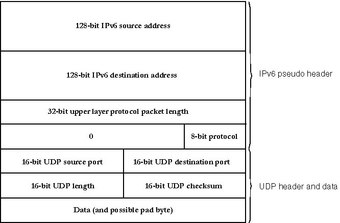 Using IP Header Include Option: The IPv6 pseudo-header with UDP packet and data