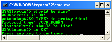 Winsock 2 socket options and ioctls: The SO_TYPE option program example - a sample output
